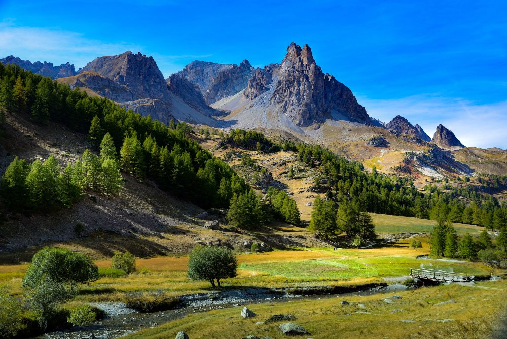Daringbadi